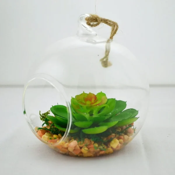 Nostalgia Import Small Terrarium Ball Echeveria* Arrangements