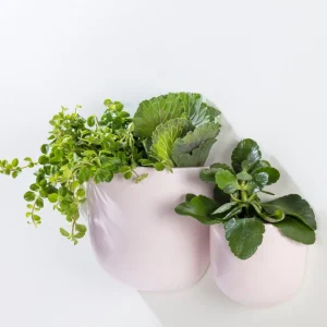 Abbott Small Wall Vase - Pink* Planters