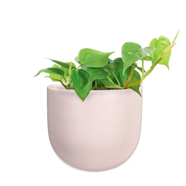 Abbott Small Wall Vase - Pink* Planters