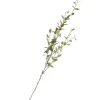 Group ADV Stem Leaf Branch* Dried Stems & Flowers