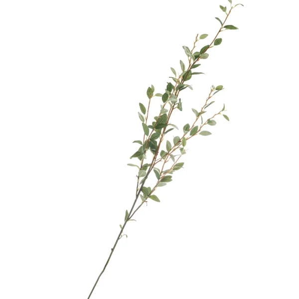 Group ADV Stem Leaf Branch* Dried Stems & Flowers