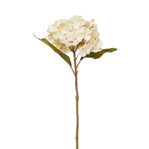 Nostalgia Import Stem Of White Flower* Dried Stems & Flowers