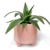 Nostalgia Import Vase 3 Feet - Tripoli Pink* Vases & Pots