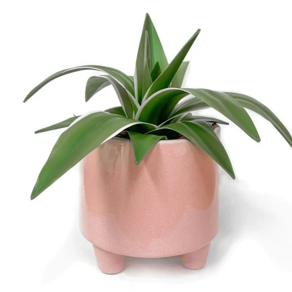 Nostalgia Import Vase 3 Feet - Tripoli Pink* Vases & Pots