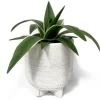 Nostalgia Import Vase On Stand - Paraiso Black & White* Vases & Pots