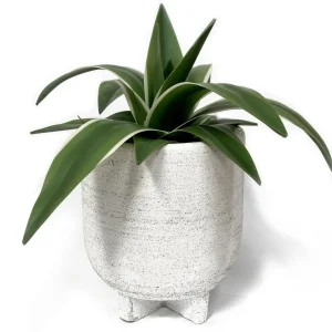 Nostalgia Import Vase On Stand - Paraiso Black & White* Vases & Pots