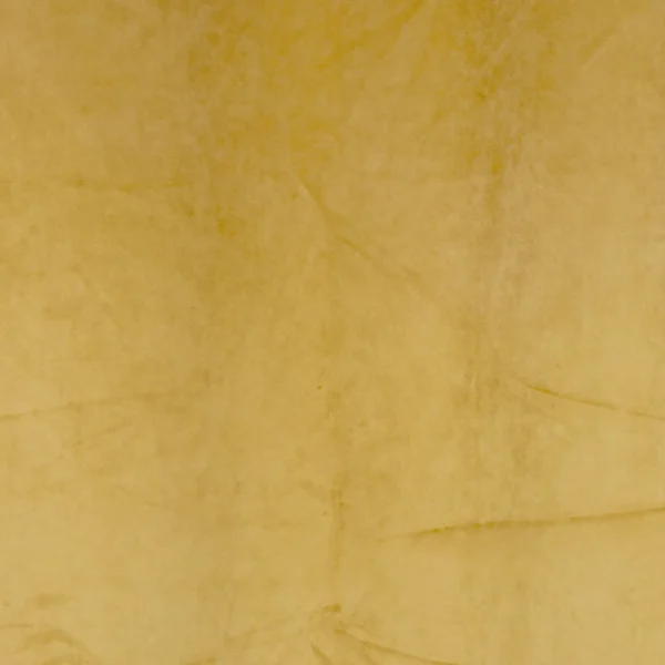 Attitudes Import 2 Velvet Curtain - Ocre* Poles & Curtains