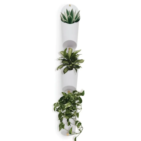 Umbra Wall Mounted Planter Trio - Floralink* Planters