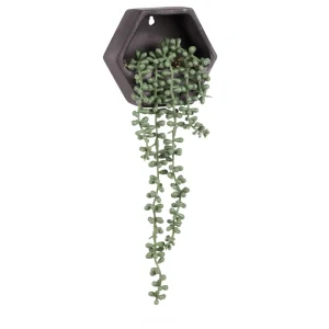 Attitudes Import Wall Planter - Black Pot* Planters