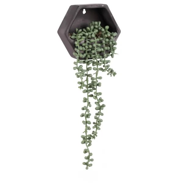 Attitudes Import Wall Planter - Black Pot* Wall Planters