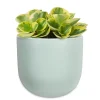 Abbott Wall Vase - Mint Green* Planters