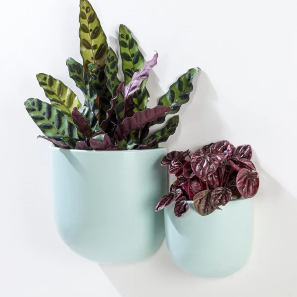 Abbott Wall Vase - Mint Green* Planters