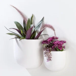 Abbott Wall Vase - White* Planters