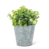 Abbott White Flowers - Cement Pot* Arrangements