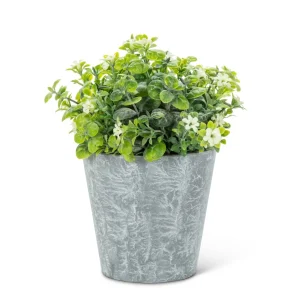 Abbott White Flowers - Cement Pot* Arrangements