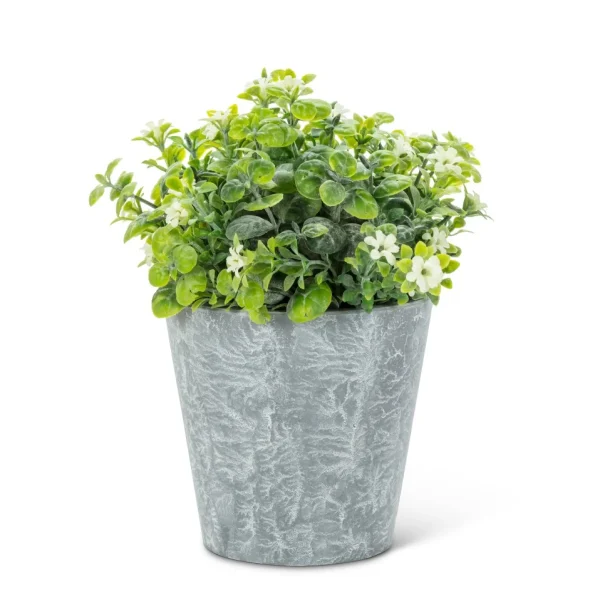 Abbott White Flowers - Cement Pot* Arrangements