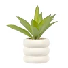 CTG Brands White Pot Plant - Bubble* Arrangements