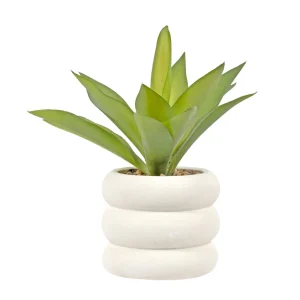 CTG Brands White Pot Plant - Bubble* Arrangements