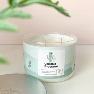 Kozy x Three Wix & CO 3-Wick Candle - Cactus Blossom* Scented Candles