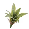 Pine Center Yucca Plant* Greenery